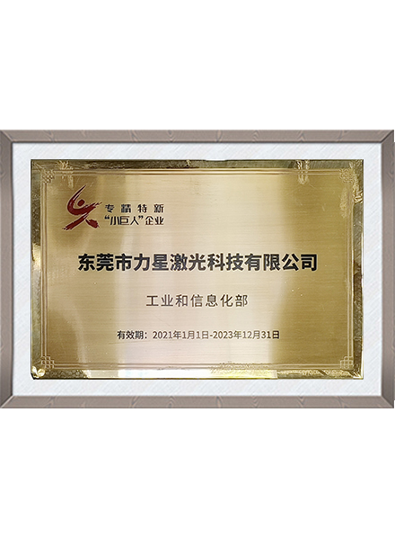 专精特新小巨人
